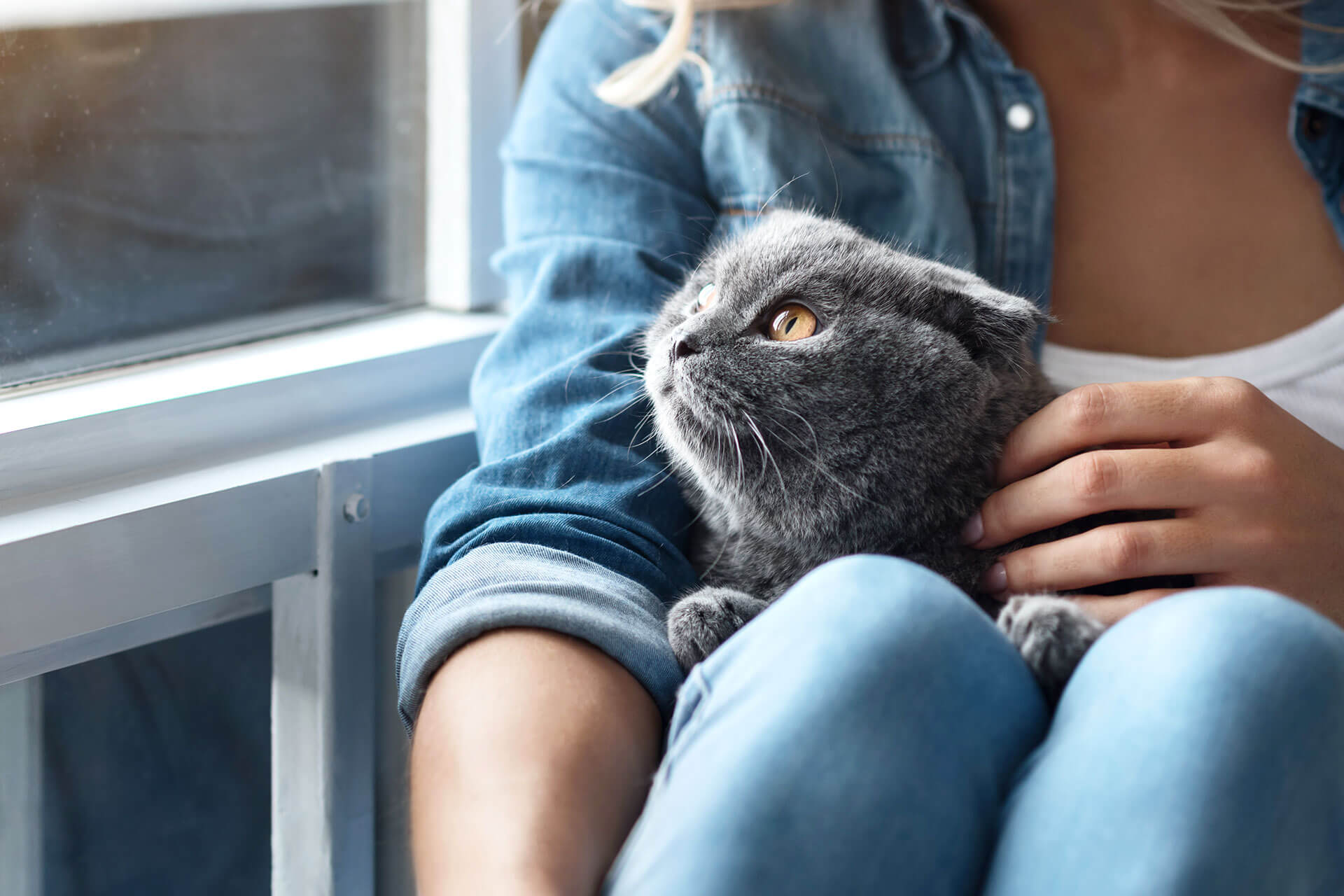 How To Care For A Kitten: A Guide For First-Time Cat Owners